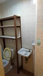 Signature Park (D21), Condominium #548872761